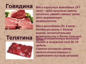 Почему оленина нежнее, чем говядина, на вкус?