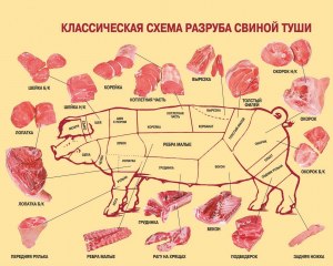 Что приготовить из свиного разруба с кожей, салом, ребрами, мясом?