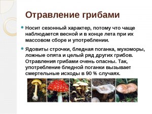 Почему свежие грибы из супермаркета грибами и не пахнут?