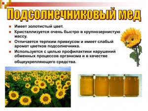 Ваше мнение: «растительный» мед обладает теми же полезными качествами?