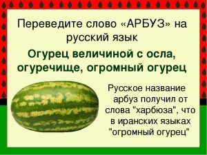 Почему огурцы имеют привкус и цвет арбуза?