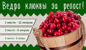 Сколько клюквы в 0.5, 1, 1.5, 2-х литровой банке по весу?