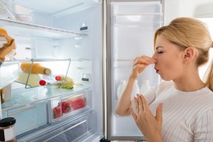 Что положить в холодильник, чтобы исчезли все неприятные запахи?