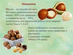 Кому не следует употреблять в пищу орехи макадамия?