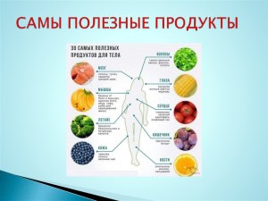 Какие продукты приносят пользу организму человека?