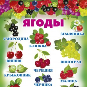 Какие ягоды, фрукты кислые, название? Как они называются?