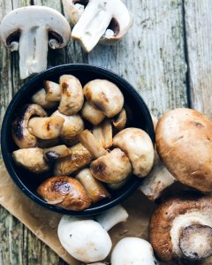 Сколько по времени жарить, тушить, варить грибы синявки?
