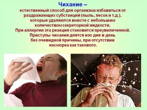 Почему от холса чихаю?