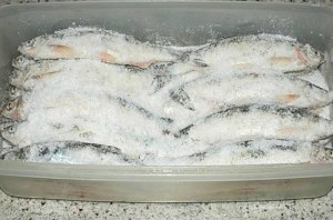 Нужно ли мыть свежую рыбу перед тем как её засолить в домашних условиях?