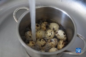 Как сварить перепелиные яйца в электрочайнике?