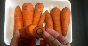 Почему свежая морковь становится мягкой?