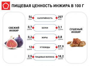 Сколько вяленого, сушеного инжира получится из 1 кг свежего инжира?