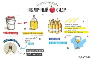 Как правильно приготовить сидр? Какие ингредиенты, кроме яблок?