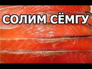 Как засолить семгу в банке?