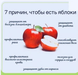 Как часто вы едите яблоки?