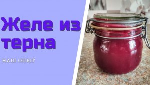 Как приготовить желе из торнослива без сахара?