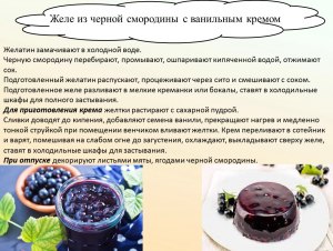 Как приготовить желе из чёрной смородины без сахара?