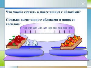 Сколько свеклы в одном ящике по весу, штук? Сколько весит ящик свеклы?