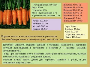 Сколько моркови в одном ведре по весу? Сколько штук моркови в ведре?