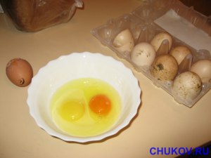 Что такого можно сделать из домашних яиц кур, чего нельзя из магазинных?