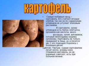 Почему картофель в наши дни отнесли в разряд самых полезных овощей?