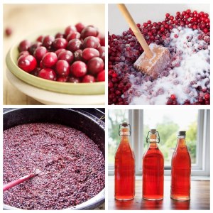 Из каких ягод можно сделать домашнее вино?