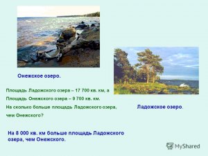У какого озера больше площадь - Ладожского или Онежского?