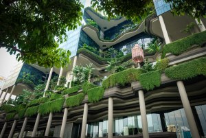 Почему в Сингапуре на зданиях огромные номера домов?