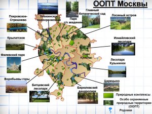 Какие объекты из перечисленных относятся к ООПТ города Москвы (см)?