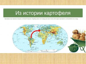 О каких странах Европы идёт речь в историях распространения картофеля (см)?