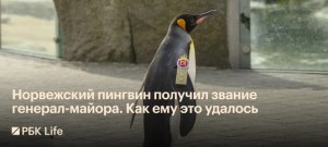 Что будет если не станет морепродуктов?