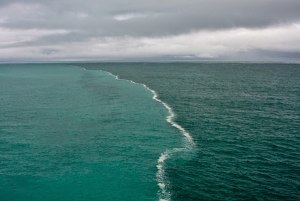 Следует ли считать лиман частью моря? Почему да или почему нет?