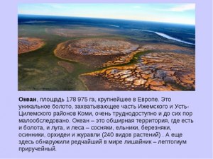 Как называется крупнейшее в Европе болото, расположенное в республике Коми?