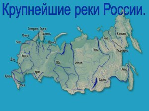 В каком городе России протекает больше всего рек и ручейков?
