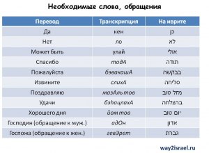 Как переводится с иврита словосочетание "брит дамим"?