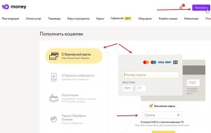 Как в Беларуси пользоваться анонимным кошельком Ю Money?