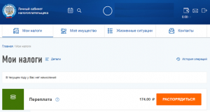 Отложенная переплата в личном кабинете налоговой, как поступить дальше?