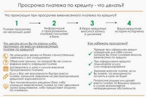 Как в России хотят улучшить условия для погашения просроченных кредитов?