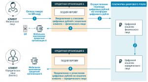 Цифровой рубль за или против?