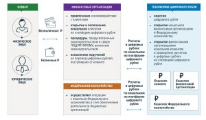 Что значит понятие "платформа цифрового рубля", введённое в России?