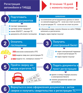 Сколько времени дается на регистрацию автомобиля в ГИБДД после покупки?