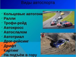 Какие виды автоспорта бывают?