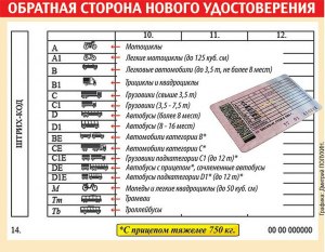 Какие категории открыты в водительском удостоверении В. В. Путина?