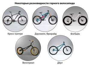 Чем отличается горный велосипед от спортивного?