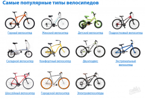 Сколько существует разновидностей одноколесного велосипеда?