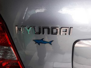 Что значит акула на кузове автомобиля?
