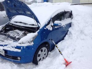 Как правильно защищать двигатель автомобиля зимой?