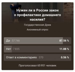 Когда введут закон о домашнем насилии в России?