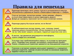 Нужно ли и почему обязать управляющих СИМ учить ПДД?