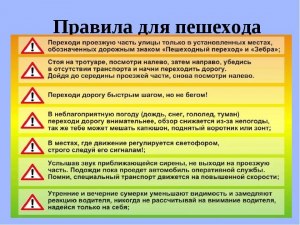 Нужно ли и почему обязать управляющих СИМ учить ПДД?